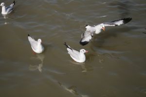 img_2162.jpg