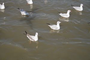 img_2163.jpg