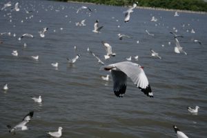 img_2164.jpg