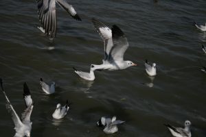img_2165.jpg