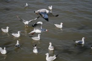 img_2166.jpg