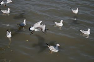 img_2167.jpg