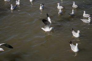 img_2168.jpg