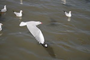 img_2170.jpg