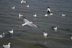 img_2171.jpg