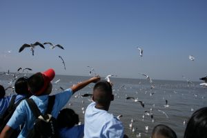img_2182.jpg