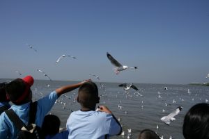img_2183.jpg