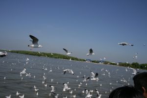 img_2184.jpg