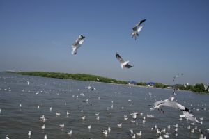 img_2186.jpg
