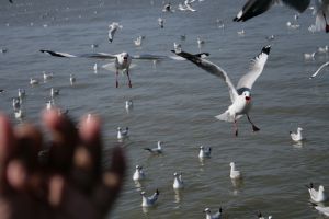 img_2187.jpg