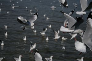 img_2188.jpg