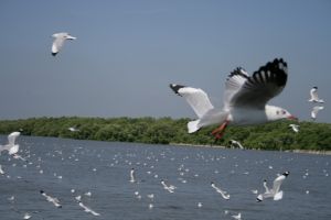 img_2189.jpg