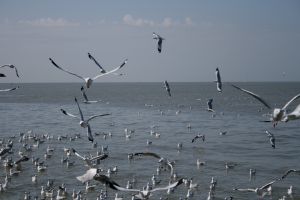 img_2190.jpg