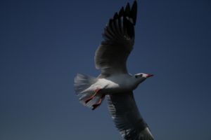 img_2191.jpg