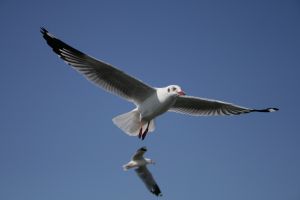 img_2192.jpg