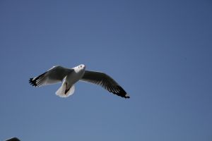 img_2195.jpg