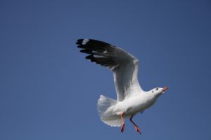 img_2196.jpg