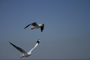 img_2197.jpg