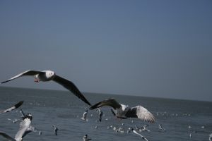 img_2199.jpg