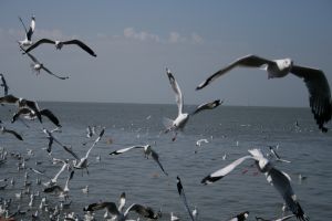 img_2200.jpg