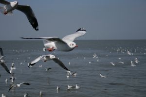img_2201.jpg