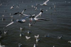 img_2202.jpg