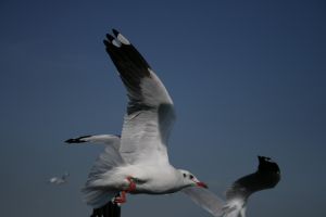 img_2203.jpg
