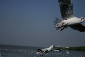 img_2204.jpg