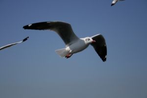 img_2205.jpg