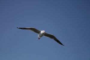 img_2206.jpg