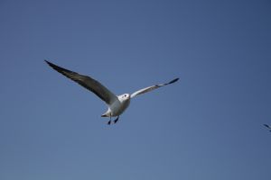 img_2207.jpg