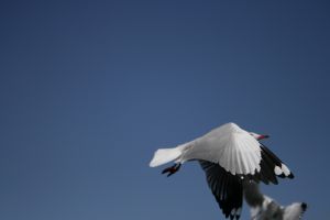 img_2208.jpg