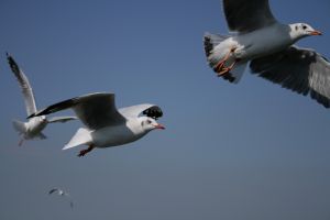 img_2209.jpg