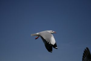 img_2210.jpg