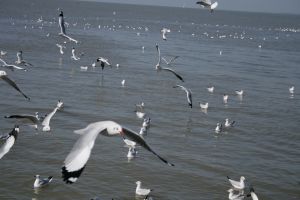img_2211.jpg