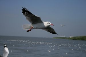 img_2213.jpg