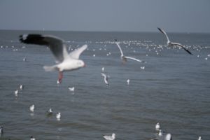 img_2214.jpg