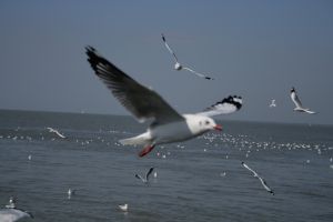 img_2215.jpg