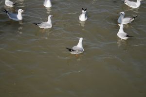 img_2217.jpg