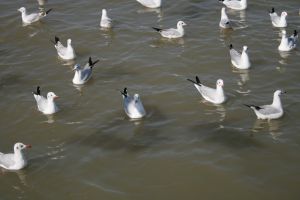 img_2218.jpg