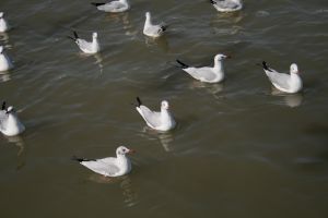 img_2219.jpg