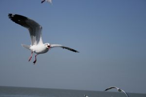 img_2220.jpg