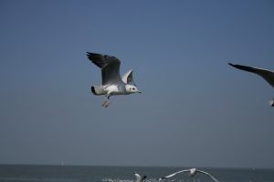 img_2221.jpg