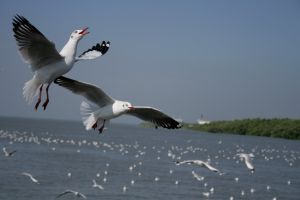 img_2223.jpg