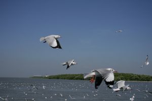 img_2226.jpg