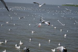 img_2228.jpg