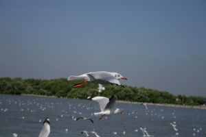 img_2229.jpg