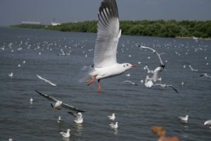 img_2231.jpg