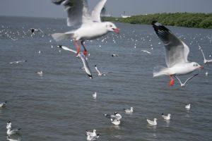 img_2232.jpg