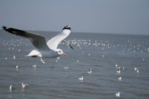 img_2233.jpg